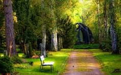 for Test image